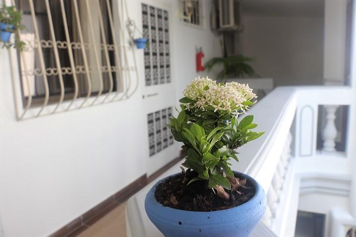 El Patio *